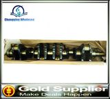 Auto Parts D6ca D6CB Diesel Engine Crankshaft for Hyundai