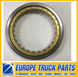 Rnu1017 Cylindrical Roller Bearings for Mercedes Benz