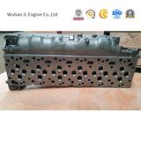 Dcec Cummins Cylinder Head Qsb6.7 C215 Isde 6.7L Diesel Engine 4936081