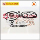 Fuel Pump Rebuild Kit-Repair Kits