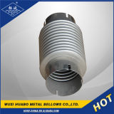 Yangbo Factory Price Saled Truck Chrome Exhaust Pipe