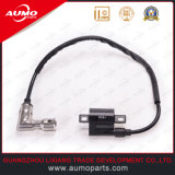 Wholesale Motorcycle Ignition Coil Price for Cg200 200cc