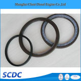Spare Parts Oil Seal for Cummins