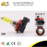 H8 12V 35W Clear White Py20d Halogen Bulb for Auto