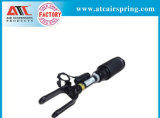 Auto Part Front with Ads Air Suspension Spring for Benz W164 1643205813 1643204613 1643204313