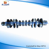 Truck Parts Crankshaft for Steyr Wp10 612600020373 612600020463 612600020039