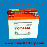 3-Year Warranty Batteries Auto Cheap Car Battery Auto Battery 12V 24ah