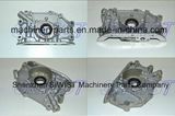 Oil Pump F801-14-100 F801-14-100b F801-14-100e F801-14-100f F801-14-100h Fe30-14-100b/F Of801-14-100b/F for Mazda 6f28 F6 KIA Concord Ford Meteor