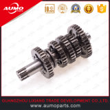 Motorcycle Parts Camshaft for Minarelli Am6 50cc