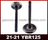 Ybr125 Engine Valve High Quality Motorcycle Parts