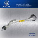 Car Parts W221 Front Control Arm for Mercedes Benz China Famous OEM Supplier