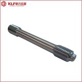 Customized Bolts and Nuts Black Auto Fastener