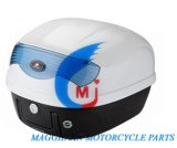 Motorcycle Accessories Motorcycle Tail Box of PP