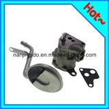 Car Parts Auto Oil Pump for Jeep Cherokee 1982 M-81ahv-S4