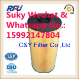Fuel Filter Auto Parts for Hitachi with Import Filter Paper (4679981, 8-98074288-0)