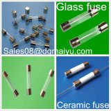 Ceramic Fuse 20 Years Experience on Fuse (Support custom made) Glass Fuse Standard Auto Fuse