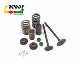 Motorcycle Valve Set with Springs Seal for 156FM1 Engines Cg125