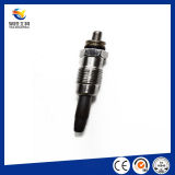 Ignition System Competitive High Quality Auto China Supplier Glow Plug