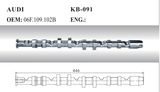 Auto Camshaft for Audi (06F. 109.102B)