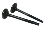 Intake&Exhaust Valve with Factory Price