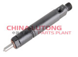 Diesel Injector-China Nozzle Injector OEM 0 432 193 807