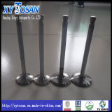 Intake & Exhaust Engine Valve for Hyundai H100/ Santro/ Accent/ Mighty/ Sonata (ALL MODELS)