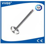 Auto Exhaust Valve for VW 027109601c