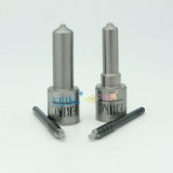 Erikc Grease Gun Nozzle Type Dlla148p765 (093400 7650) Injection Pump Parts Nozzle Denso Dlla 148 P 765 (093400-7650) for Nissan (095000-0510)