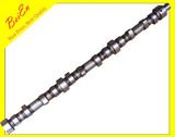 6D31t Camshaft for Mitsubishi Excavator Engine