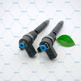 Erikc 0 445 110 181 Bosch Common Rail Injectors Assembly 0445110181 and 0986435055 Auto Electric Fuel Injection Diesel Oil 0445 110 181 for Dodge