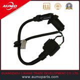 Ignition Coil for 253fmm 250cc Motorcycle Engine Parts