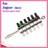 Lock Cylinder Quick Opening Tool for Jaguar (8PCS)