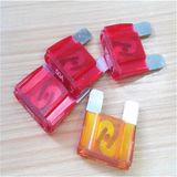 10AMP/20AMP/30AMP Car Apartment & Blade Car Fuse