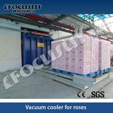 Vacuum Pre-Cooling Machine