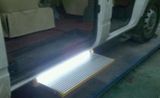 CE Electric Ladder with Loading 250kg