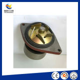 High Quality Auto Parts Water Pump