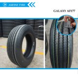 Radial Truck and Bus Tyre with All Certificate