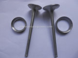 Intake &Exhaust Valve and Seats