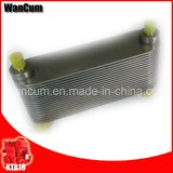 Oil Cooler Cummins 4095097 for Ccec Diesel