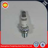 Auto Parts Engine Spark Plug 101 905 601b for Car