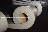 Double Eyes Parabolic Leaf Spring Plates with Bushings Inner