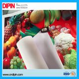 PVC Adhesive Vinyl for Digital Printing Adveritising