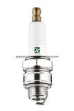 Small Engine Spark Plugs (G6 B6S J8C W8EC)