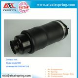 Auto Part 2513203113 2513203013 Air Suspension Spring Front Mercedes Benz W251