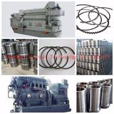 Man S46mc S46me S50mc S50me Engine Parts Piston Ring