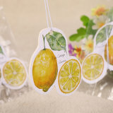 Good Smell Home Craft Paper Air Freshener with Fruit Shape (YH-AF366)