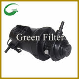 Fuel Filter with Auto Parts (FH21077)