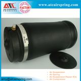 Auto Parts Rear Air Strut /Shock Absorber for Benz W164 Ml Class OE No. 1643200425