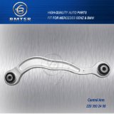 China Auto Control Arm for Mercedes Benz W220