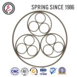 Stainless Steel Oil Seal Springs for Seals of Rubber